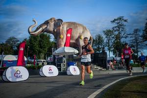 BIB: 
                            <button type="button" onclick="openModal(26541830)" class="btn btn-primary btn-sm float-right btn-popup" data-toggle="modal" data-target=".modal-high-quality">
                        <i class="fas fa-shopping-cart"></i> Add to Cart
                    </button>
                                            <button type="button" onclick="isThisMe(26541830, true)" class="btn btn-success btn-sm float-right btn-popup btn-isme hidden" data-toggle="tooltip" data-placement="bottom" title="นี่คือรูปของคุณใช่ไหม คลิกที่นี่เพื่อเอาเข้าอัลบั้ม">
                        <i class="fas fa-plus"></i> Add to album
                    </button>
                    <button type="button" onclick="isThisMe(26541830, false)" class="btn btn-warning btn-sm float-right btn-popup btn-isnotme hidden">
                        <i class="fas fa-ban"></i> Remove from album
                    </button>